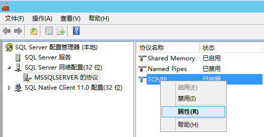 TCP/IP 属性